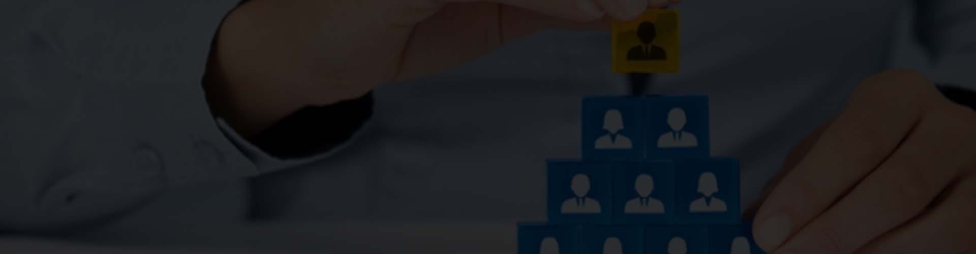 Cloud Erp Software services